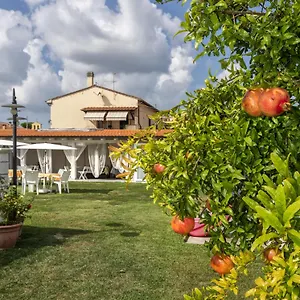 colorado-home.it-tuscanyhotel.com/